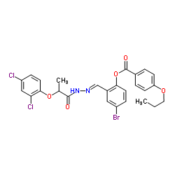 4-Bromo-2-[(E)-{[2-(2,4-dichlorophenoxy)propanoyl]hydrazono}methyl]phenyl 4-propoxybenzoate Structure