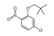 4-chloro-2-(2,2-dimethylpropoxy)-1-nitrobenzene结构式