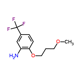 2-(3-Methoxypropoxy)-5-(trifluoromethyl)aniline Structure