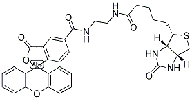生物素(5-荧光素)缀合物染色剂结构式