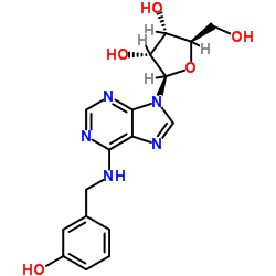 meta-TOPOLIN RIBOSIDE(mTR) structure