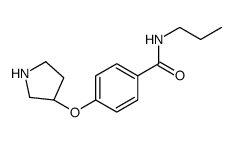 N-丙基-4-[(3S)吡咯烷氧基]苯甲酰胺结构式