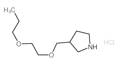 3-[(2-Propoxyethoxy)methyl]pyrrolidine hydrochloride Structure