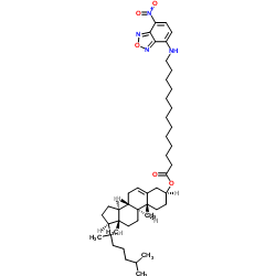 5-胆甾烯-3ß-醇12-[((7-硝基-2-1,3-苯并恶二唑-4-基)氨基]十二烷酸酯图片
