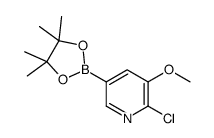 2-氯-3-甲氧基吡啶-5-硼酸频那醇酯图片