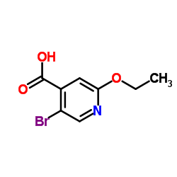 5-Bromo-2-ethoxyisonicotinic acid Structure
