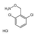 O-(2,6-二氯苄基)羟胺盐酸盐图片