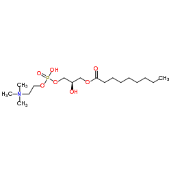 1-壬酰基-2-羟基-sn-甘油-3-磷酸胆碱图片