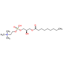 09:0 LYSO PC Structure