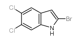 2-bromo-5,6-dichloro-1h-indole Structure
