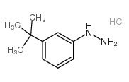 (3-(tert-Butyl)phenyl)hydrazine hydrochloride Structure