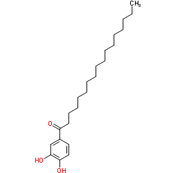 1-(3,4-Dihydroxyphenyl)-1-heptadecanone picture