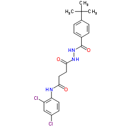 4-[2-(4-tert-butylbenzoyl)hydrazino]-N-(2,4-dichlorophenyl)-4-oxobutanamide结构式