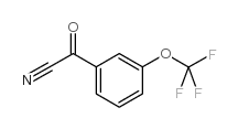 2-OXO-2-[3-(TRIFLUOROMETHOXY) PHENYL]-ACETONITRILE structure