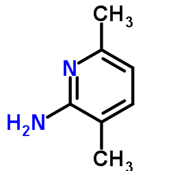 3,6-DIMETHYL-2-PYRIDINAMINE Structure