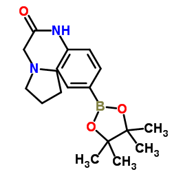 2-(吡咯烷-1-基)-N-(4-(4,4,5,5-四甲基-1,3,2-二噁硼戊环-2-基)苯基)乙酰胺结构式