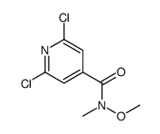 2,6-dichloro-N-methoxy-N-methylisonicotinamide structure