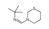 N-tert-butyl-1-(1,3-thiazinan-3-yl)methanimine结构式