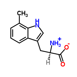 7-methyl-d-tryptophan Structure