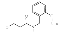 3-chloro-N-[(2-methoxyphenyl)methyl]propanamide图片