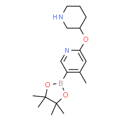 4-Methyl-2-(piperidin-3-yloxy)-5-(4,4,5,5-tetramethyl-1,3,2-dioxaborolan-2-yl)pyridine Structure