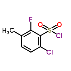 6-Chloro-2-fluoro-3-methylbenzenesulfonyl chloride结构式