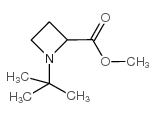 methyl 1-tert-butyl-2-azetidinecarboxylate Structure
