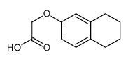 2-(5,6,7,8-tetrahydronaphthalen-2-yloxy)acetic acid Structure