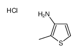 2-甲基噻吩-3-胺盐酸盐结构式