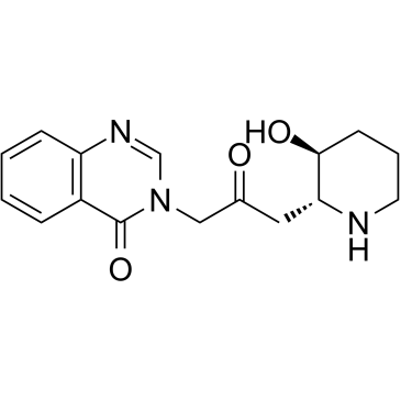 Febrifugine picture