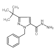1-苄基-3-(叔丁基)-1H-吡唑-5-碳酰肼结构式