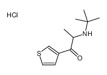 2-(tert-butylamino)-1-thiophen-3-ylpropan-1-one,hydrochloride结构式