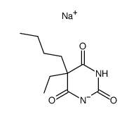 sodium 5-butyl-5-ethylbarbiturate picture