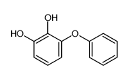1,2-Benzenediol, 3-phenoxy- (9CI)结构式