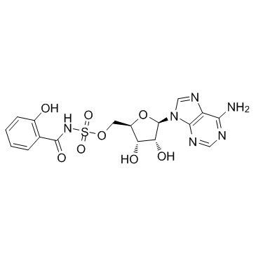 Salicyl-AMS structure