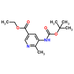 Ethyl 5-((tert-butoxycarbonyl)amino)-6-methylnicotinate Structure