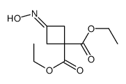 diethyl 3-hydroxyiminocyclobutane-1,1-dicarboxylate Structure