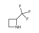 2-(Trifluoromethyl)azetidine picture