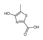 2-Thiazolecarboxylic acid,4-hydroxy-5-methyl- picture
