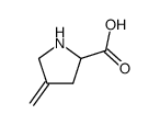 4-methylene-pyrrolidine-2-carboxylic acid结构式