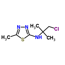 N-(1-Chloro-2-methyl-2-propanyl)-5-methyl-1,3,4-thiadiazol-2-amine Structure