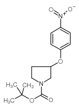 1N-Boc 3-(4'-nitrophenoxy)pyrrolidine picture