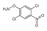 O-(2,5-dichloro-4-nitrophenyl)hydroxylamine结构式