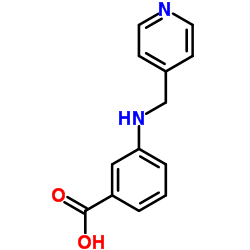 3-[(PYRIDIN-4-YLMETHYL)-AMINO]-BENZOIC ACID结构式