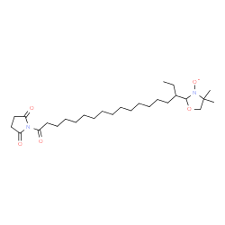 16-doxylstearoyl maleimide structure