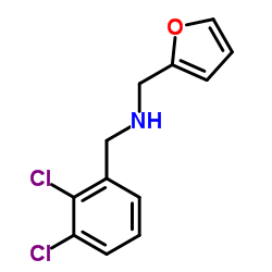 1-(2,3-Dichlorophenyl)-N-(2-furylmethyl)methanamine Structure