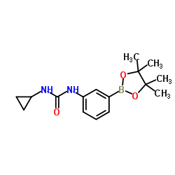 1-cyclopropyl-3-(3-(4,4,5,5-tetramethyl-1,3,2-dioxaborolan-2-yl)phenyl)urea structure