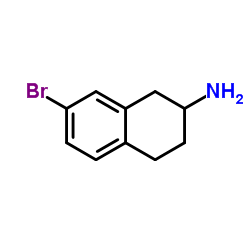 7-溴-1,2,3,4-四氢萘-2-胺图片