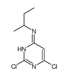 N-butan-2-yl-2,6-dichloropyrimidin-4-amine结构式