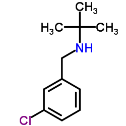 N-(3-Chlorobenzyl)-2-methyl-2-propanamine结构式